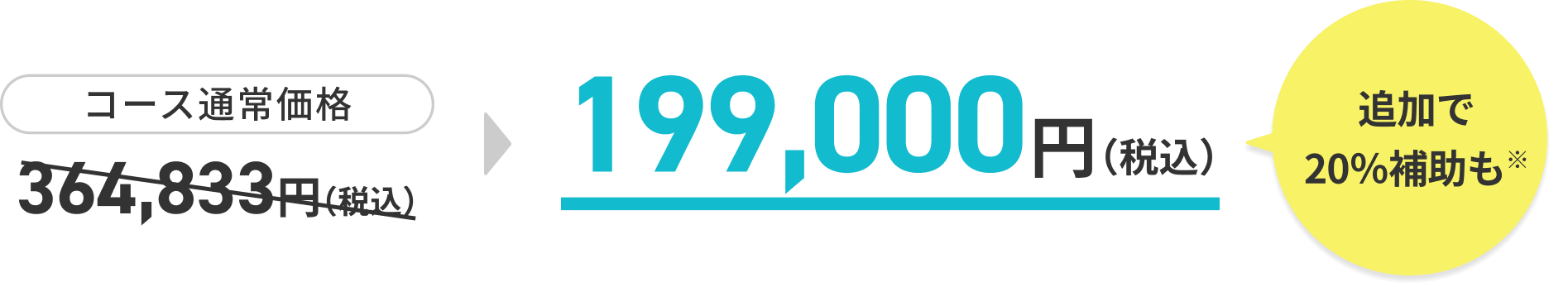 通常価格364,833円が199,000円に！追加で20％補助も！